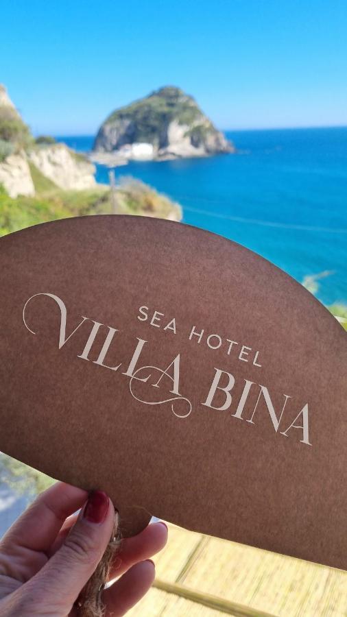 Villa Bina Sea Hotel Sant'Angelo  Eksteriør billede